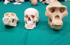 exkursion_neanderthalmuseum_06.jpg