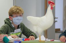 osterakademie_herbstferien_13.jpg