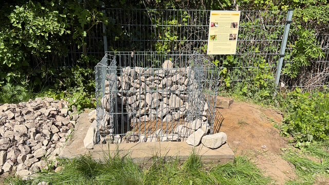 Ausbau Sandarium 1.JPG